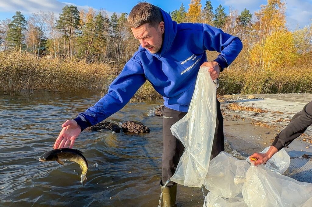 Руководитель Свердловского РЭО Алексей Вихарев выпустил в озеро Таватуй 60 килограммов белого амура